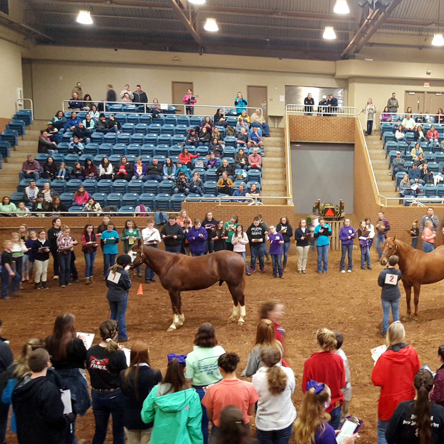 4-H students with their horses at a judging contest 