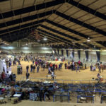 Looking from the stands at the state swine show