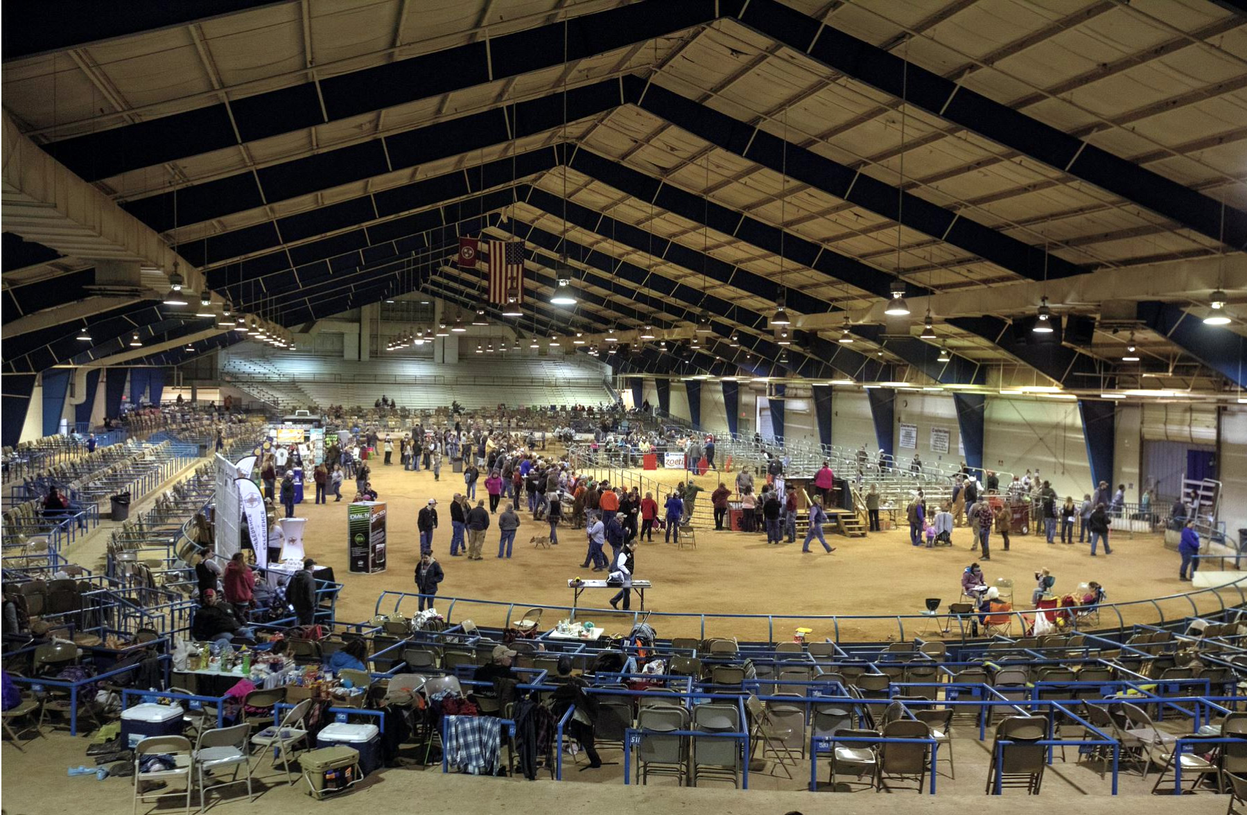 Looking from the stands at the state swine show