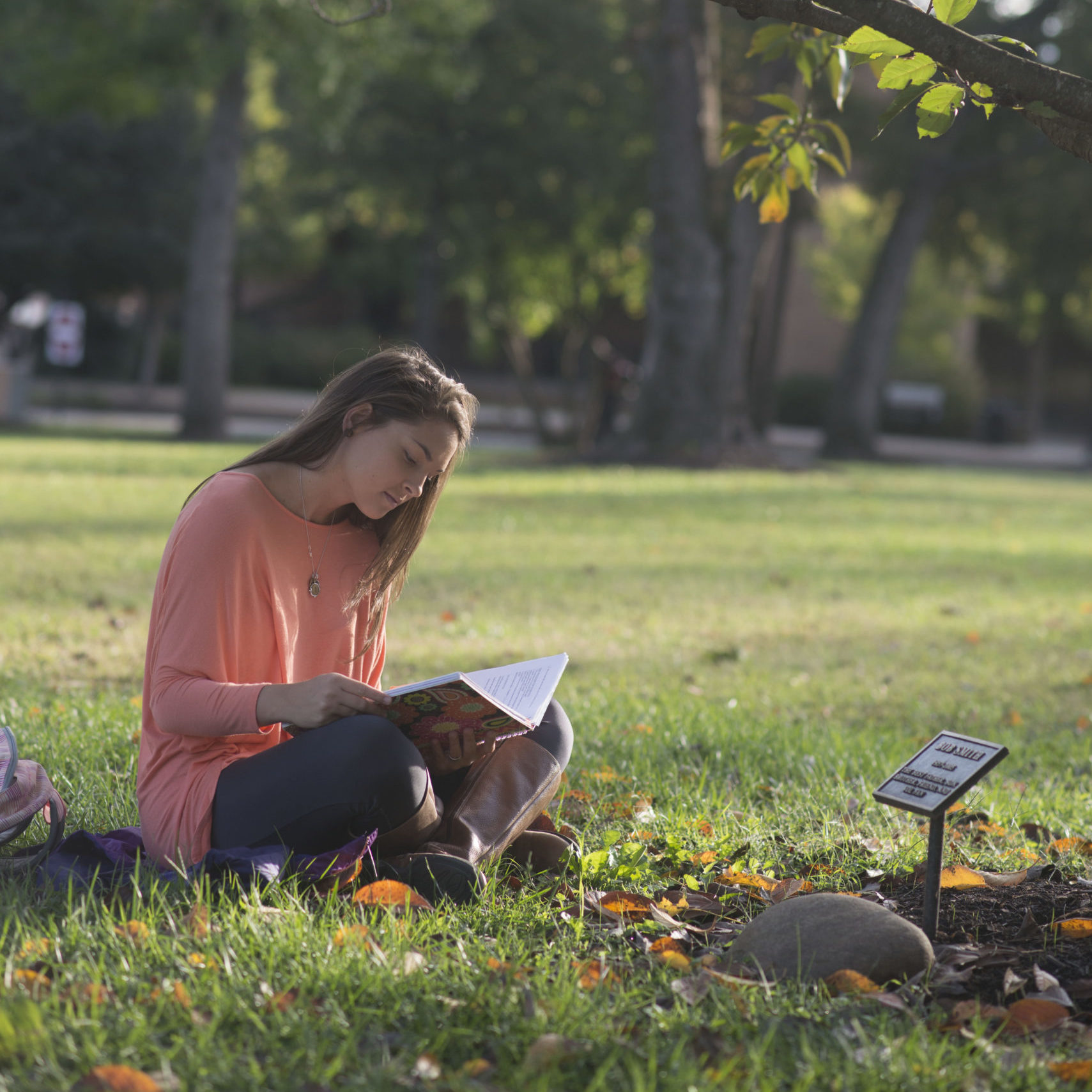 Student sitting in the grass reading a book 