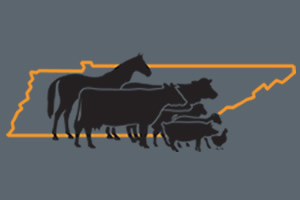 Click here for items concerning Animal Science