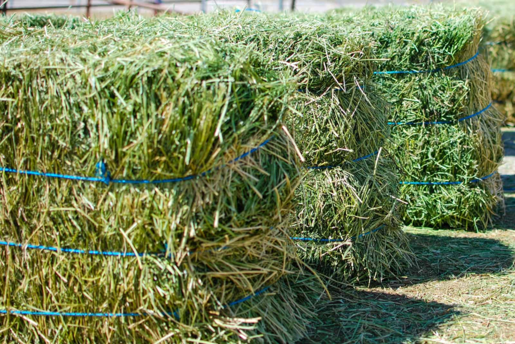 stacked bales of hay