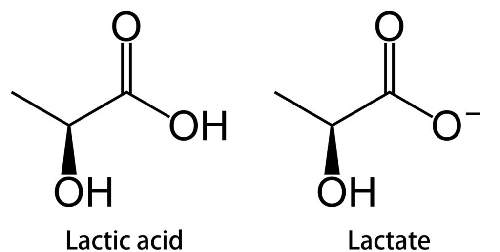 chemical structure of lactic acid and lactate