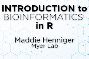 Image depicting bioinformatics in R logo, by Maddie Henniger in Myer Lab