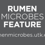 Rumen Microbes Feature, rumenmicrobes.utk.edu