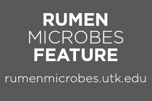 Rumen Microbes Feature, rumenmicrobes.utk.edu