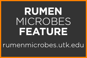 Rumen Microbes Feature Logo, rumenmicrobes.utk.edu