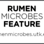 Rumen Microbes Feature Logo, rumenmicrobes.utk.edu