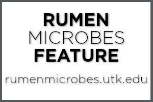 Rumen Microbes Feature Logo, rumenmicrobes.utk.edu