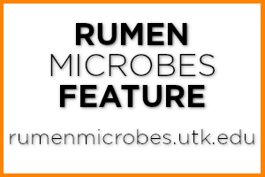 Rumen Microbes Feature Logo, rumenmicrobes.utk.edu