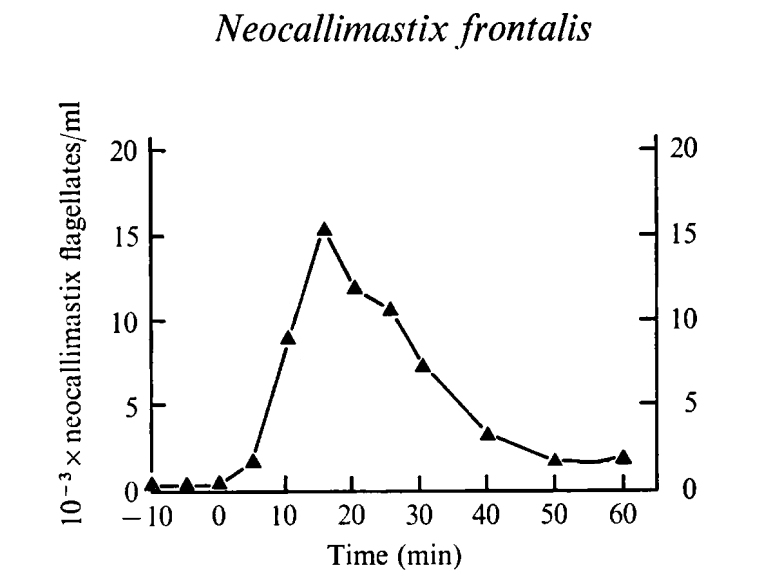 Population density curves for N. frontalis flagellates