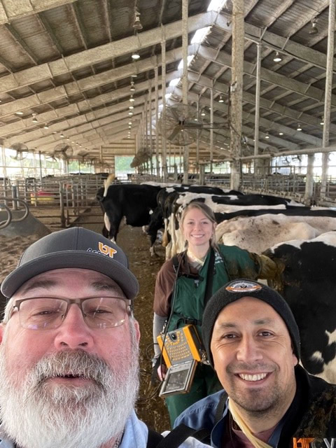 Lew with two people and some cows doing a selfie