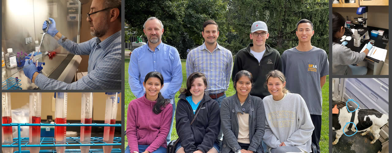 A collage of images from Dr. Ruis and his lab members