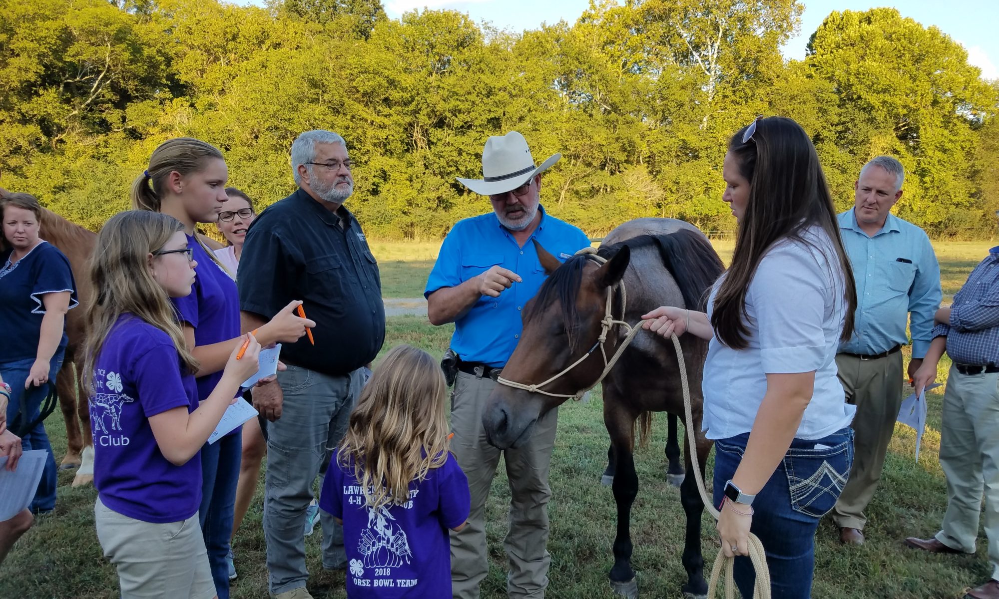 Lew Strickland talking to a group of people about a horse at a field day