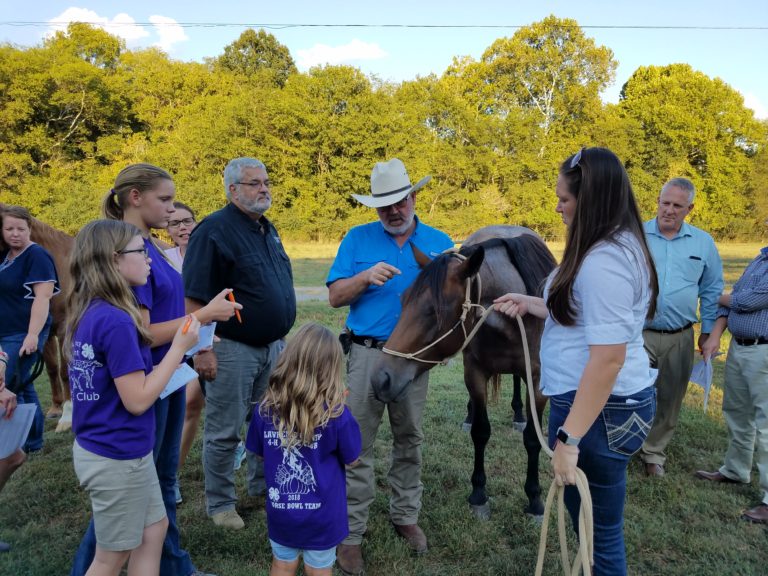Lew Strickland talking to a group of people about a horse at a field day