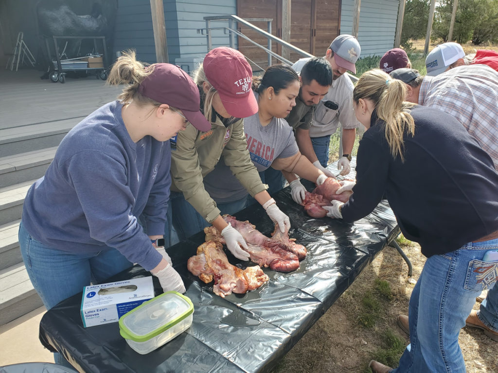 students working with meat cuts