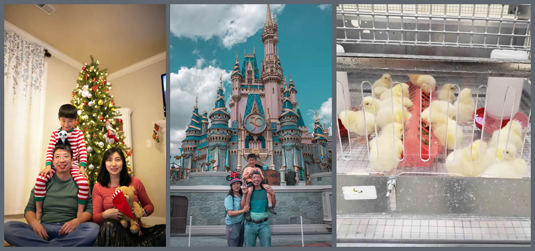 Ximin Zeng with his family in front of a Christmas tree and at Disney World. Plus a picture of baby chicks in a pen