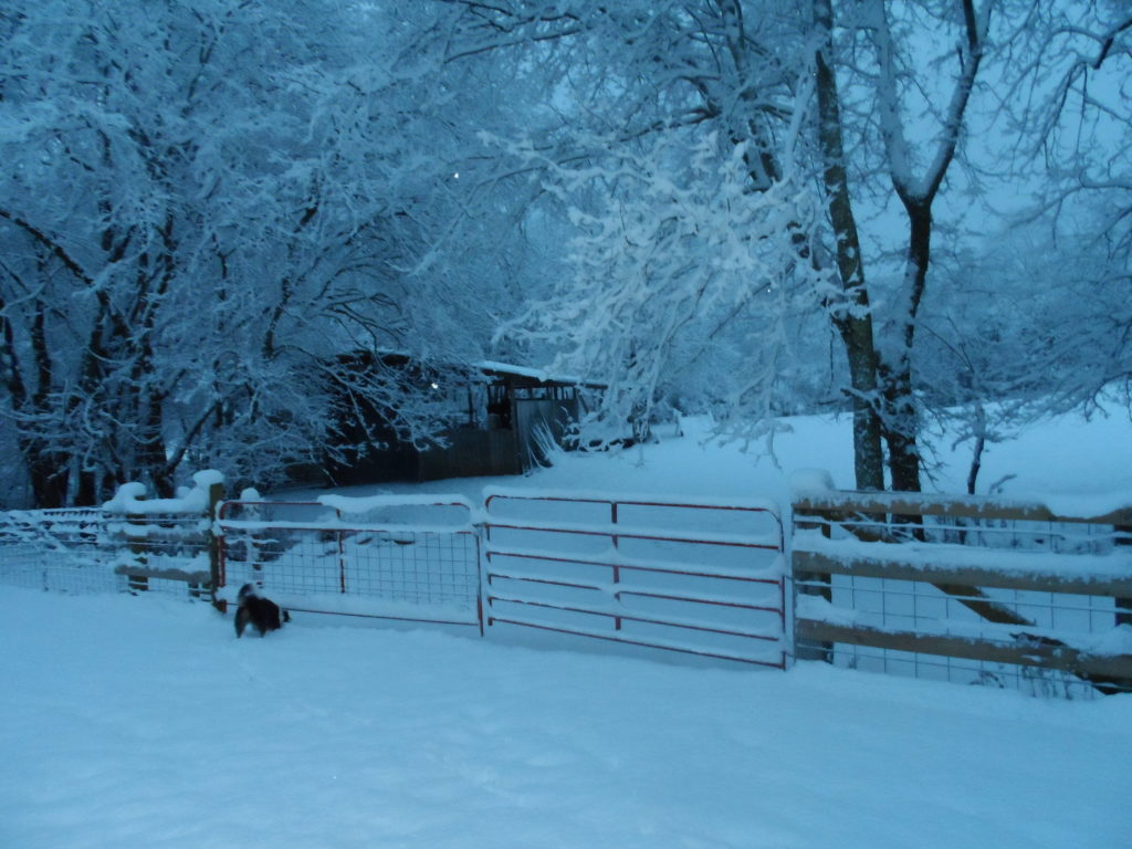 a winter barn scene with snow