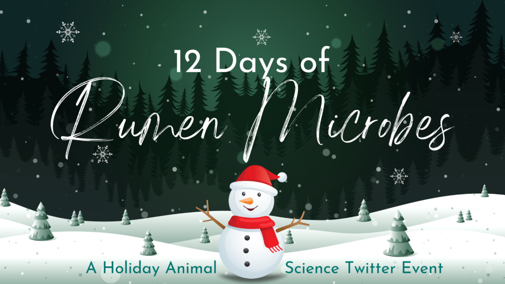 Snowman and holiday image presenting the 12 days of rumen microbes