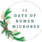 12 days of rumen microbes