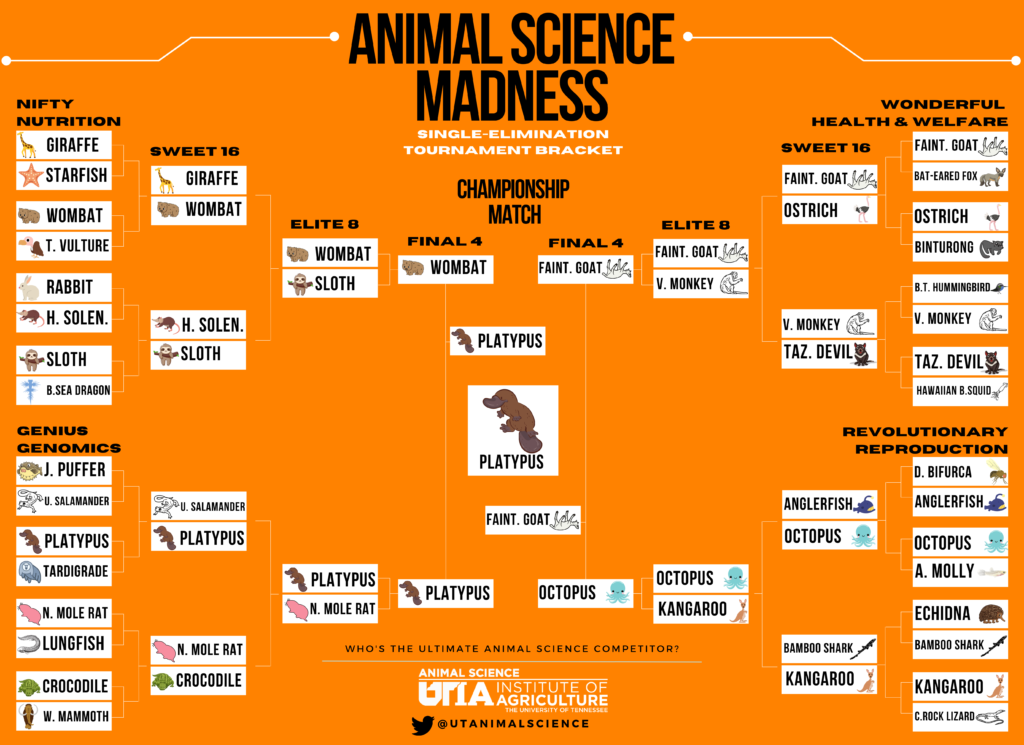 Champion Platypus! Animal Science Single Elimination Tournament Bracket