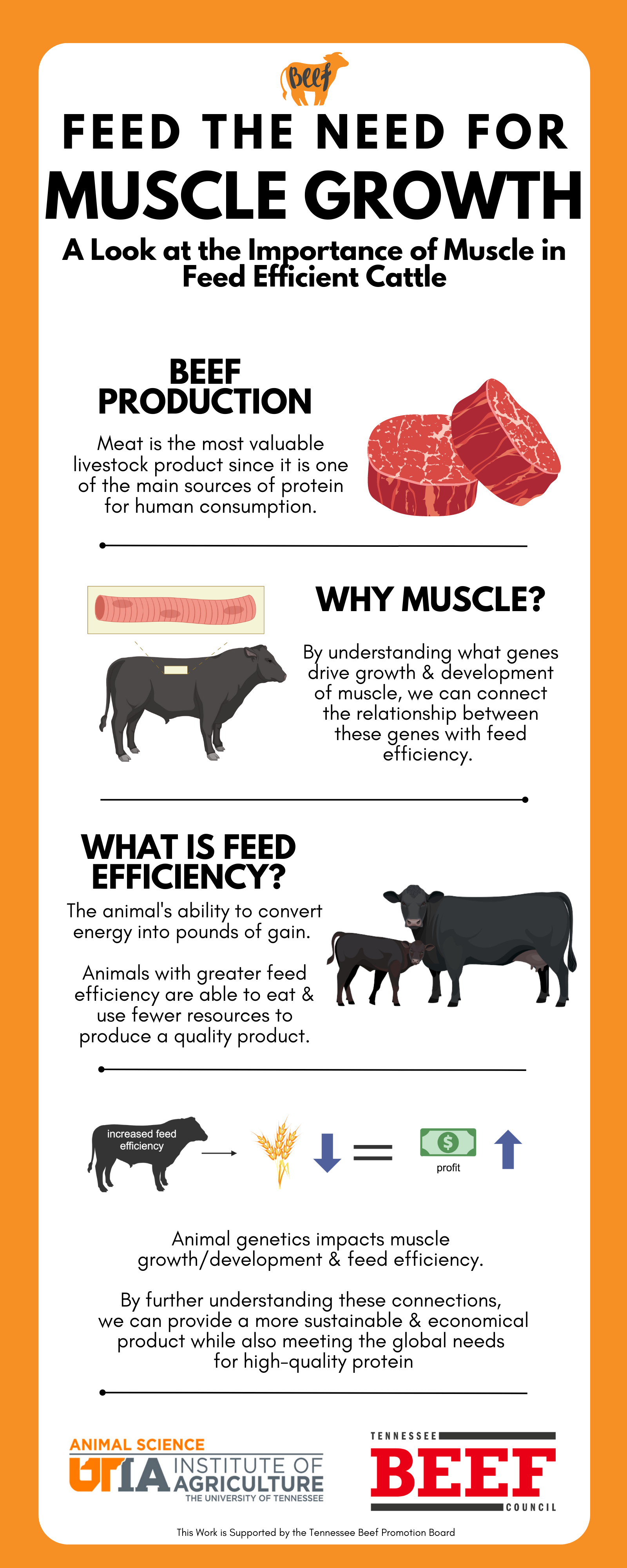 ruminant animals list