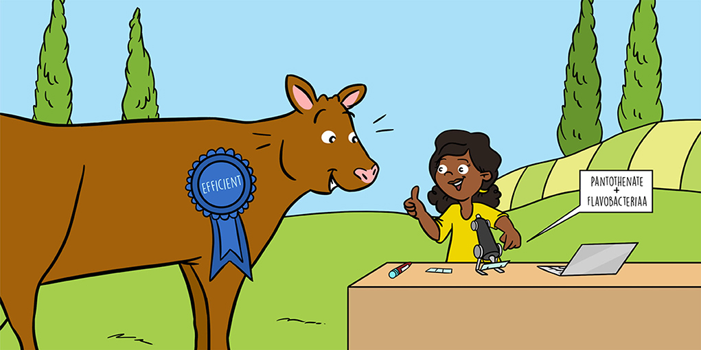 A cartoon cow winning a prize for being feed efficient