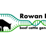 Rowan Lab Logo. Cow with DNA strand blue and green.