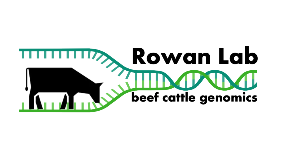 Rowan Lab Logo. Cow with DNA strand blue and green.