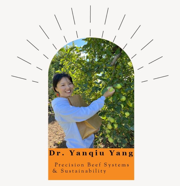 Say Hello to Dr. Yanqiu Yang – Our New Precision Beef Systems ...