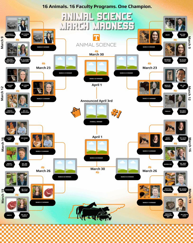 2026_ANSC_March_Madness_Bracket_Elite_8
