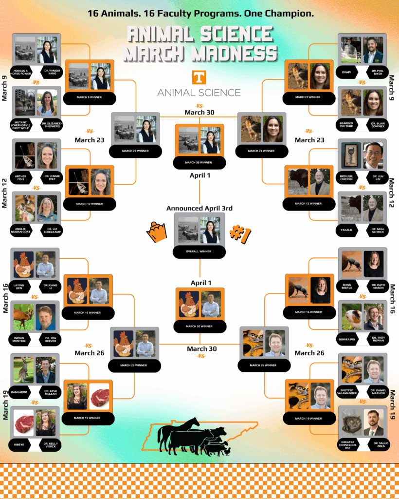 2026_ANSC_March_Madness_Bracket_Draft (5) - Winner